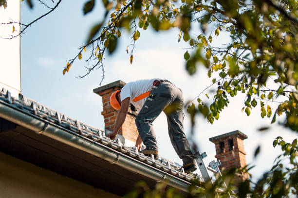 Best Roof Gutter Cleaning  in Senatobia, MS