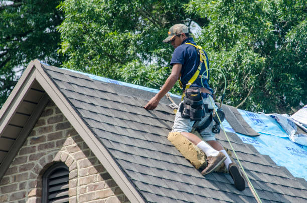 Best Shingle Roofing Installation  in Senatobia, MS
